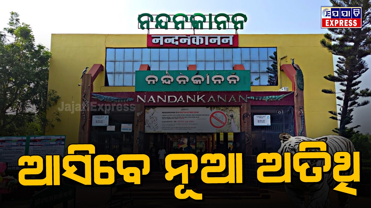 ପର୍ଯ୍ୟଟକଙ୍କ ପାଇଁ ଖୁସି ଖବର