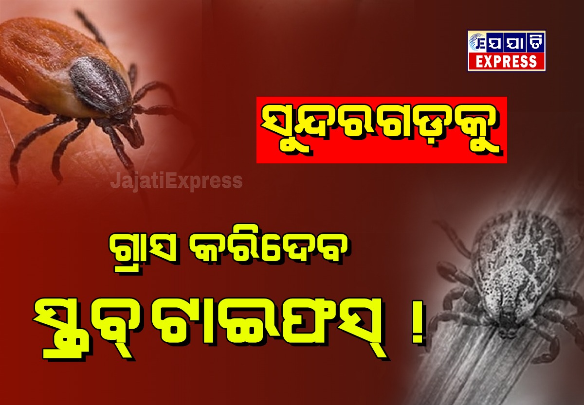 ସୁନ୍ଦରଗଡରେ ବଢୁଛି ପୋକ ଆତଙ୍କ !